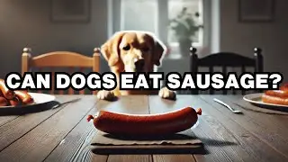 Can Dogs Eat Sausage? Explained