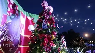 Идея для свидания в стиле Дисней! | Тропа для рождественской елки и праздничные украшения в Disne...