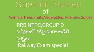 Most important for NTPC GROUP D|Scientific names of vegetables,fruits,animals,cerals,vitamins,trees
