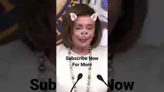 Pelosi Press Conference &bull; Speaker or Leader For 20 Years &bull; Term Limits Anyone
