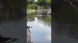 WHAT WAS THAT? 😳 #fishing #amazingfishing #bassfishing #fishingtips #fish #fishingtricks #angler