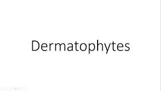 Dermatophytes - Microbiology