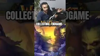 Collecting Is the Real Endgame in WoW