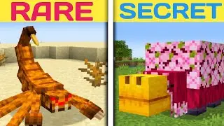 GOT EXTRA HEARTS FROM MOBS in Minecraft