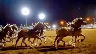 Six Up Hitch Class - 2017 Draft Horse Classic