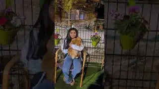 mimi enjoy her dayoff #cutebaby #funny #cute #ifra #comedy #movie #song #kuwaitjourney