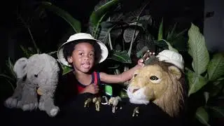 The Animal Detective  Cheetah
