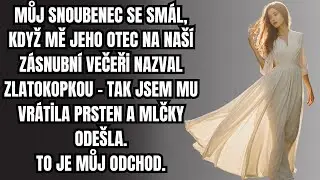 Můj snoubenec se sm&aacute;l, když mě jeho otec na na&scaron;&iacute; z&aacute;snubn&iacute; večeři nazval zlatokopkou &mdash; tak jsem...