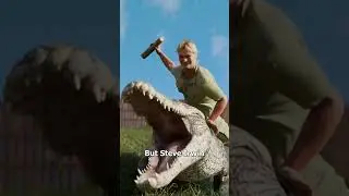 Steve Irwin Saved His Best Friend From a Crocodile #stitchtricks #sehar #shorts