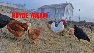 SABAH KAHVALTIMIZDA KURU KURU NELER VAR NELER PİŞİYOR