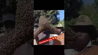 Kenya Magic TV | #like #subscribe #trending #recipe #viralvideo #wedding