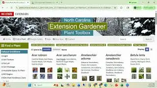 Brief Overview of NC State Extension Plant Toolbox for Tree Planning