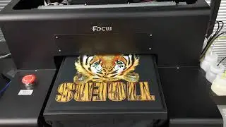 Focus A4 DTG printer for black t-shirts printing