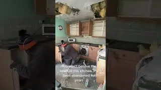 ABANDONED KITCHEN DEMO #renovation