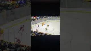 Carolina Hurricane vs Nashville Predators