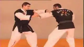 Hapkido Tecnica basica n 8 impatida por Maestro Kwang Sik Myung