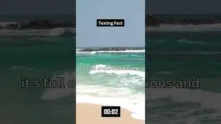 Mind-Blowing Facts You Didn't Know! 🤯
