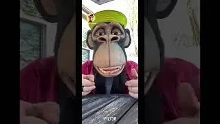 Top crypto and Nft advice for a og bored ape #boredapeyachtclub #nft #crypto