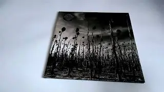 Выпуск №29. Dead Can Dance &ndash; Anastasis(Vinyl, LP, Album)