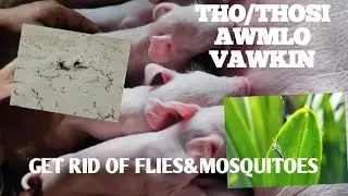 VAWKIN THIANGHLIM OVERLOAD