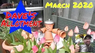 Dave's Allotment. End Of March Plot Tour, Thinking Ahead & Singalong.