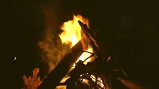 Reverend Baron + Andrew Gabbard + Mae Powell - It Is So Nice To Get Stoned [OFFICIAL VISUALIZER]