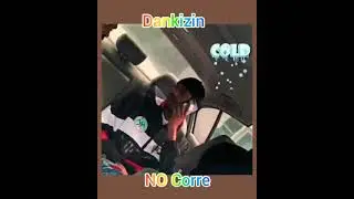 Dankizin