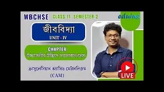 Class 11 Biology Semester 2 | Unit-IV | উচ্চশ্রেণীর উদ্ভিদে সালোকসংশ্লেষ | CAM Pathway | WBCHSE