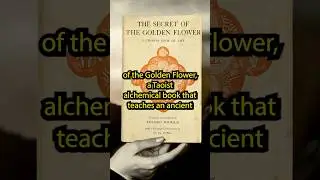 Carl Jung's Alchemical Discovery: The Secret of the Golden Flower | #JungAlchemy