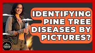 Identifying Pine Tree Diseases By Pictures? - Exploring Campgrounds