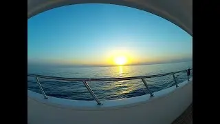 scuba diving in Egypt  / Deep South / St. John&acute;s / Seesterne - Bingen