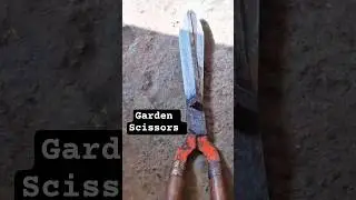 how to sharp Garden Scissor