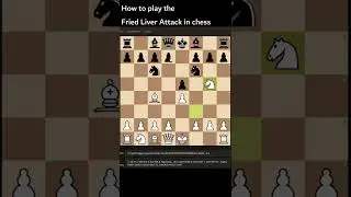 Fried Liver Attack in chess (read desc) #chess