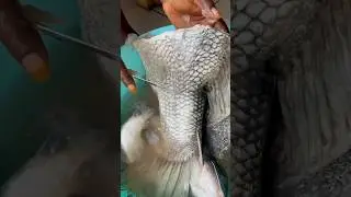 Soupe de queue de poisson capitaine