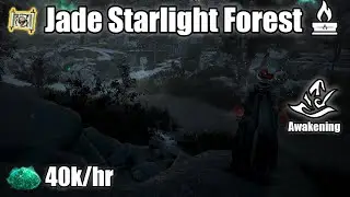 BDO | Awake Witch Jade Forest 40k/hr yellow LS & agris