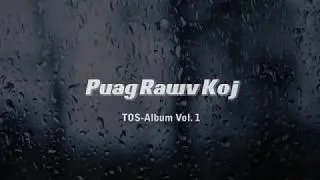 Travis Lee - Puag Rawv Koj (Lyric Video)