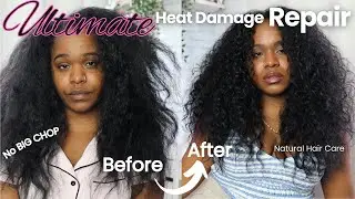How to: Restore Curls After Heat Damage | Natural Hair Care