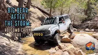 Holcomb Creek Trail After the Storm 2023