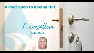 ROELMI HPC - Crisis Management // Sales Department - F. Zanzottera