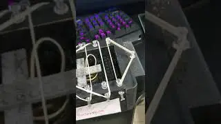 Chordophone Creation