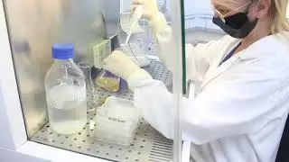 AIRCOAT | Laboratory test of fouling samples