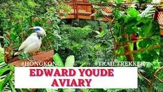 [ 4k ] EDWARD YOUDE AVIARY | Hongkong | trail trekker |