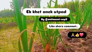 smitasoni is live एक खेत अनेक उत्पाद by @smitasoni-scp3 like share comment please 🙏👍❤️