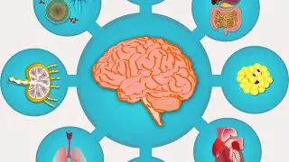 Kara Marshall - Brain-Body Interactions