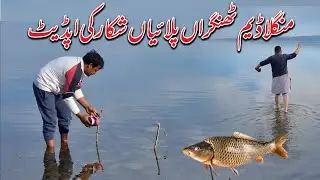 New Point Fishing Update | Thungaran Palayan | Mangla Dam Fishing