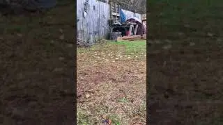Mommy&rsquo;s Sweet Baby Squirrel