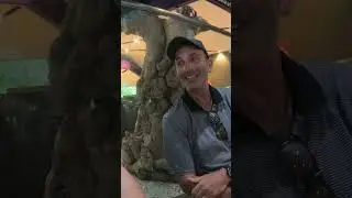 Who are Angela and Alan #shorts #seniortravel #travel middleagedgapyear