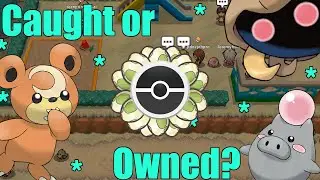 Изучение звёздочек OT и того, как Pokedex регистрирует покемонов &mdash; PokeMMO