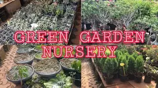GREEN GARDEN NURSERY| GREEN GARDEN NURSERY VASAI