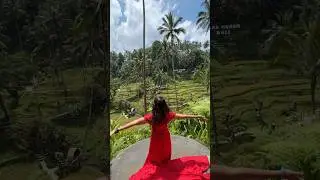 Rice terrace Ubud Bali